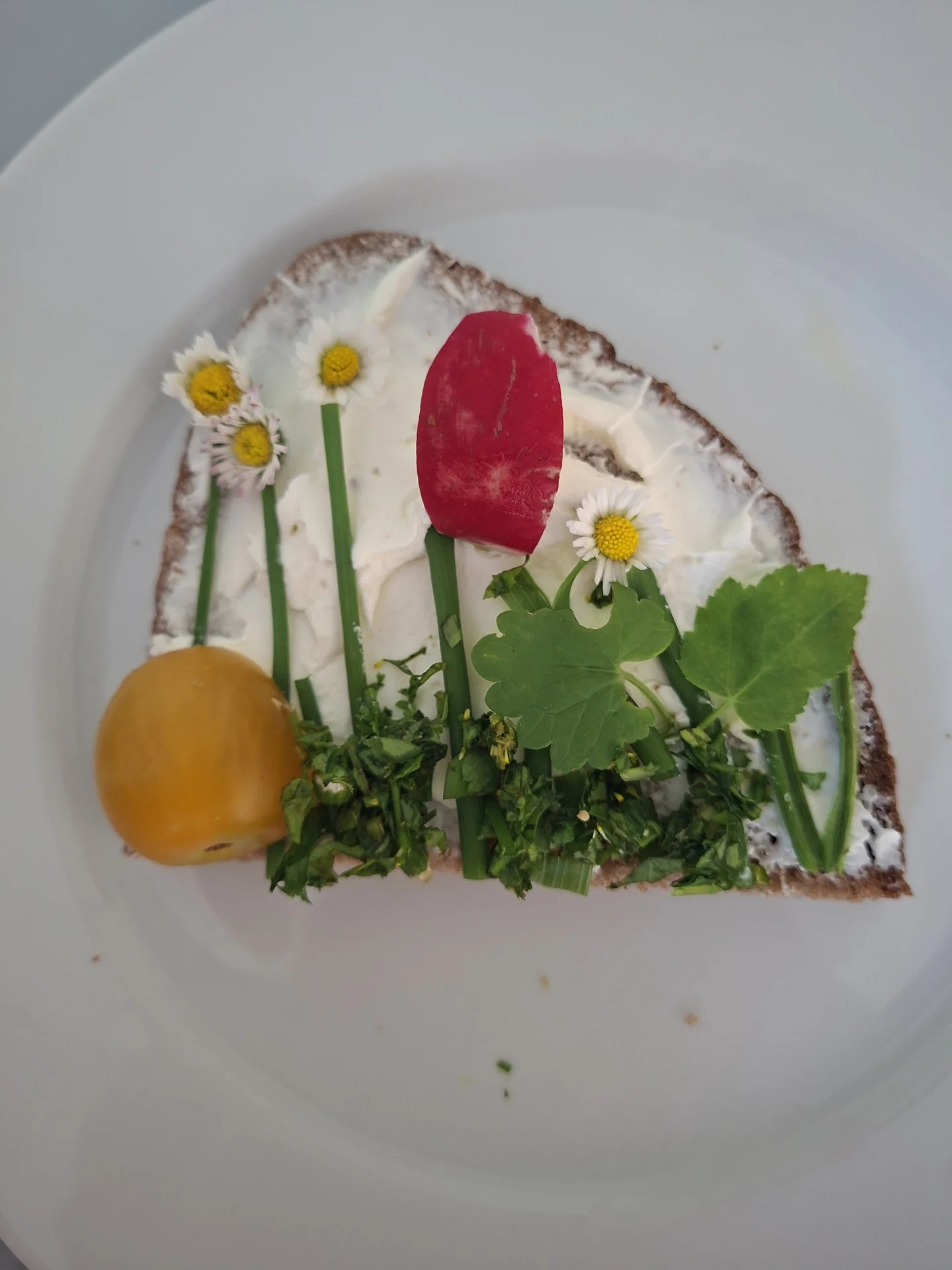 Zur Galerie: Die letzten Tage in der 2. Klasse