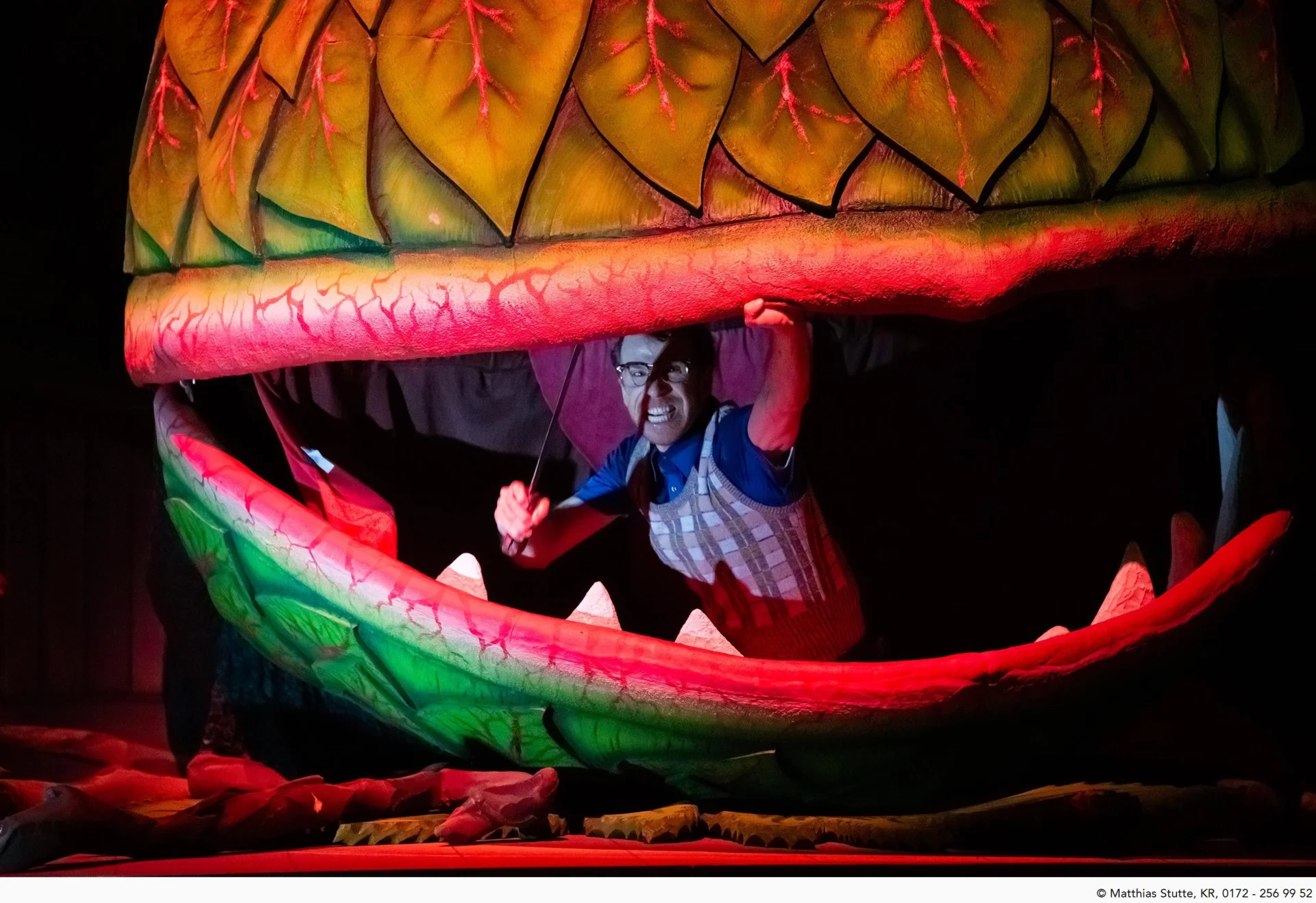 The Little Shop of Horrors &ndash; Photos by Matthias Stutte / Theater Krefeld  (Bild vergr&ouml;&szlig;ern)