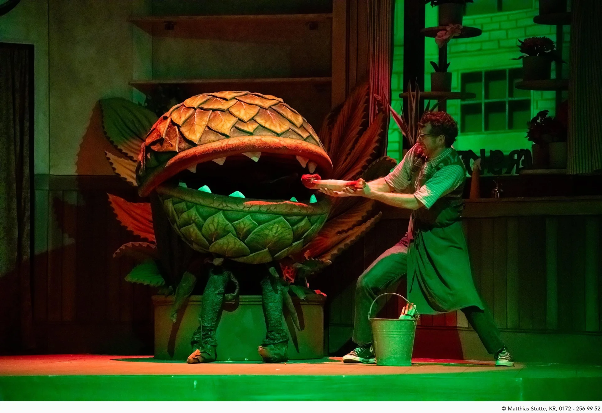 The Little Shop of Horrors &ndash; Photos by Matthias Stutte / Theater Krefeld  (Bild vergr&ouml;&szlig;ern)
