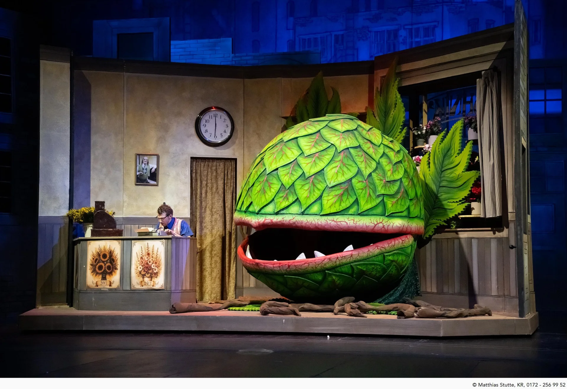 The Little Shop of Horrors &ndash; Photos by Matthias Stutte / Theater Krefeld  (Bild vergr&ouml;&szlig;ern)