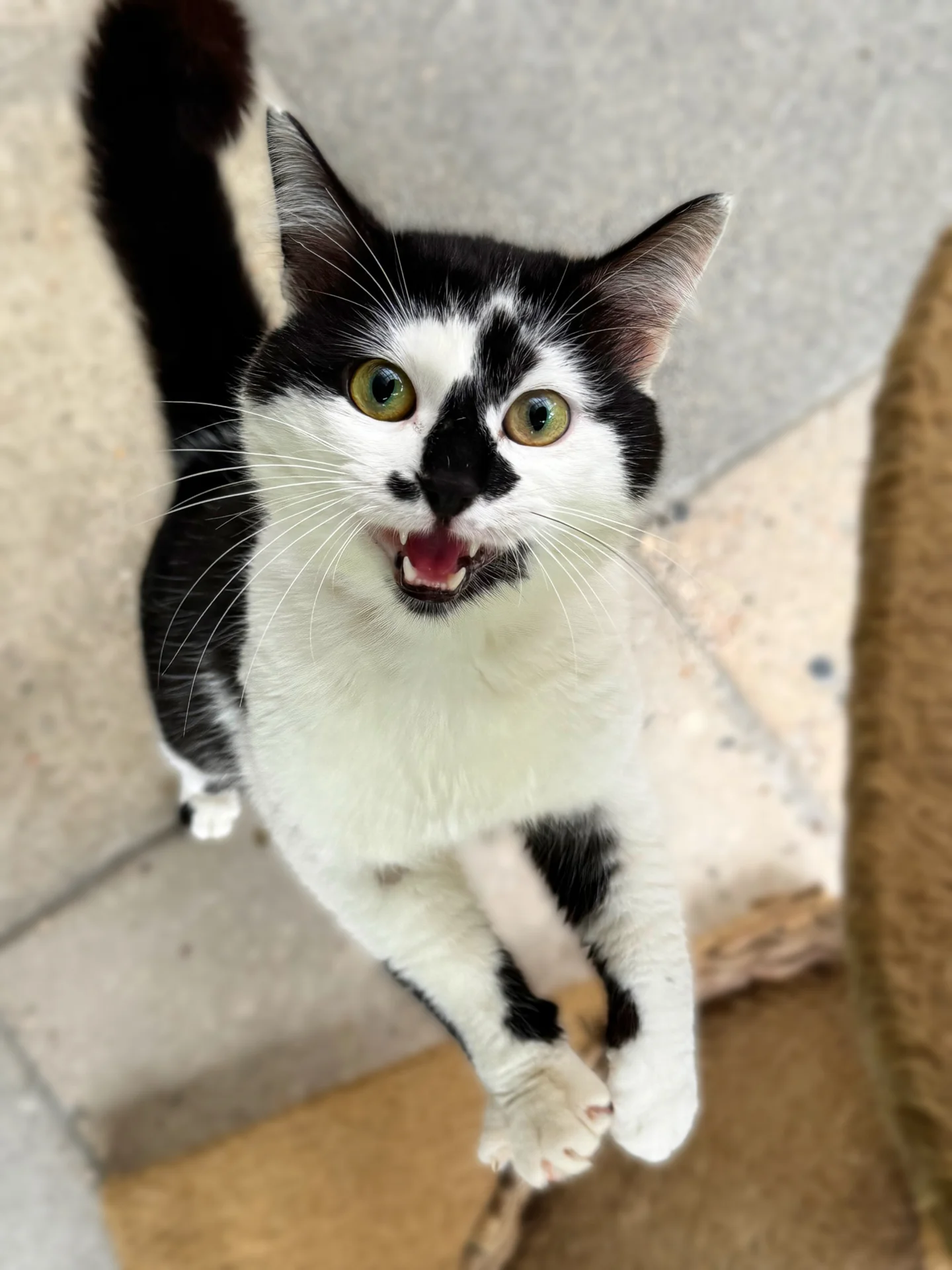 Zur Galerie: Kenny