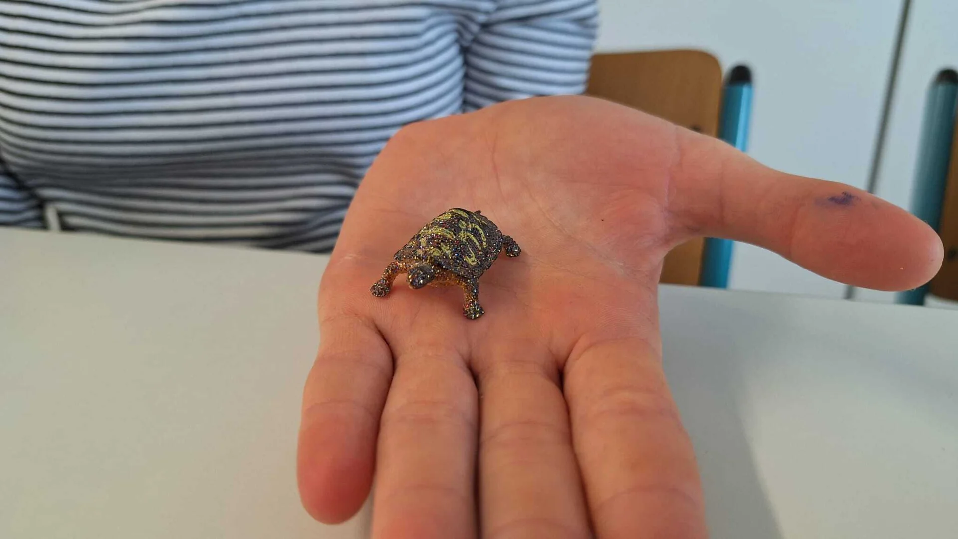Foto der Galerie: Schildkröten zu Besuch