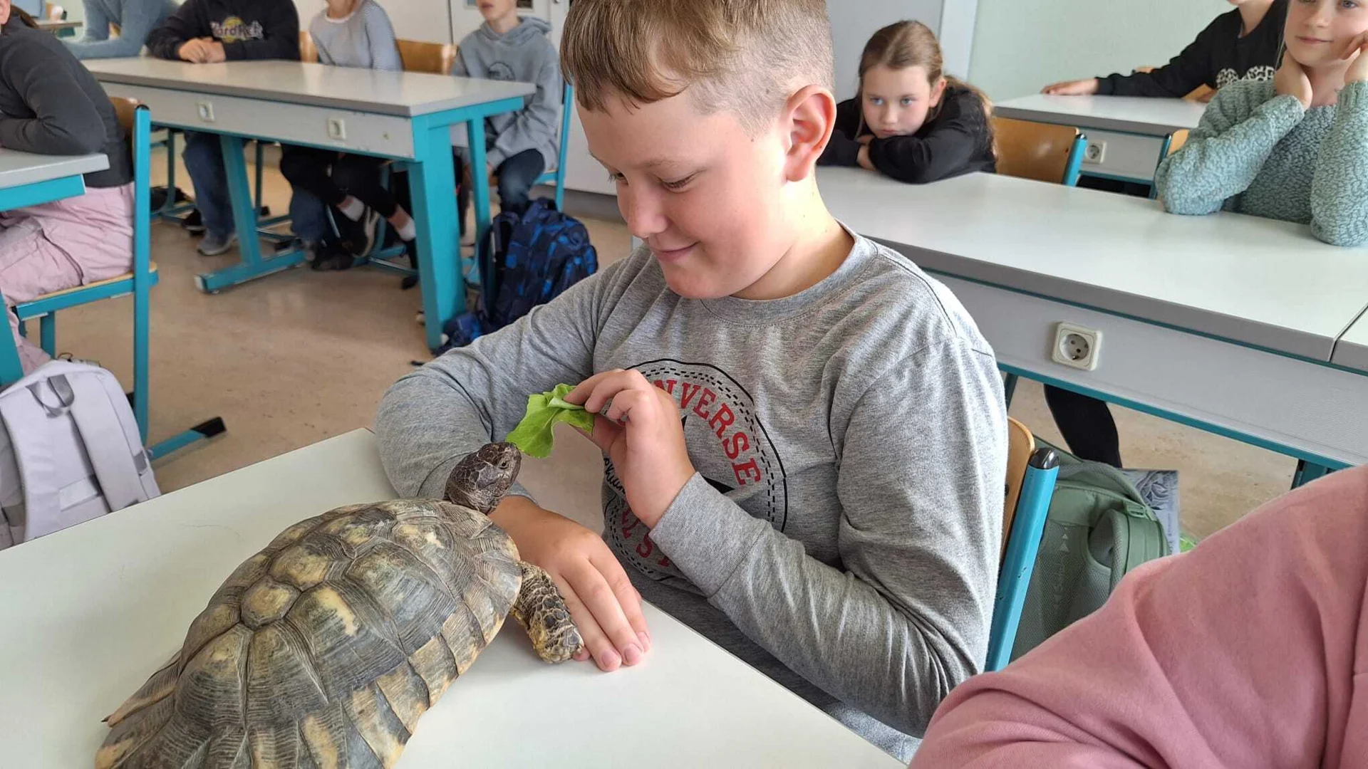Foto der Galerie: Schildkröten zu Besuch