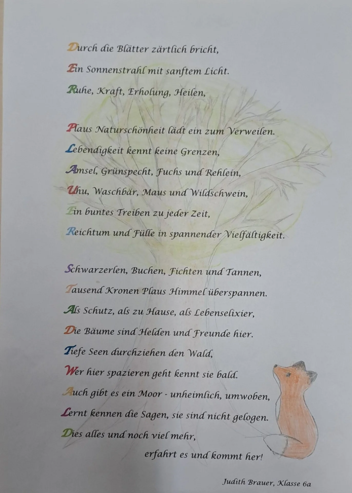 Foto der Galerie: Schreibwettbewerb an der Klüschenbergschule