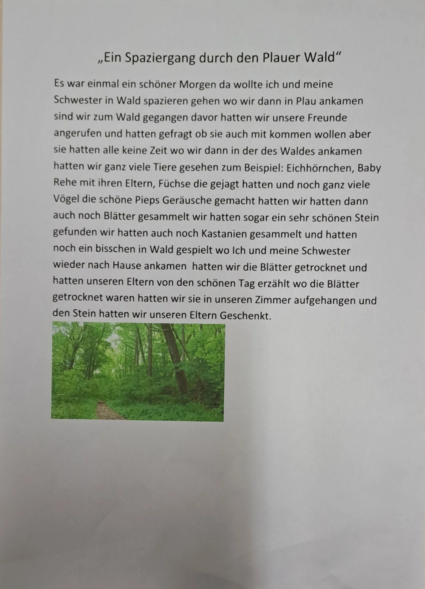 Foto der Galerie: Schreibwettbewerb an der Klüschenbergschule