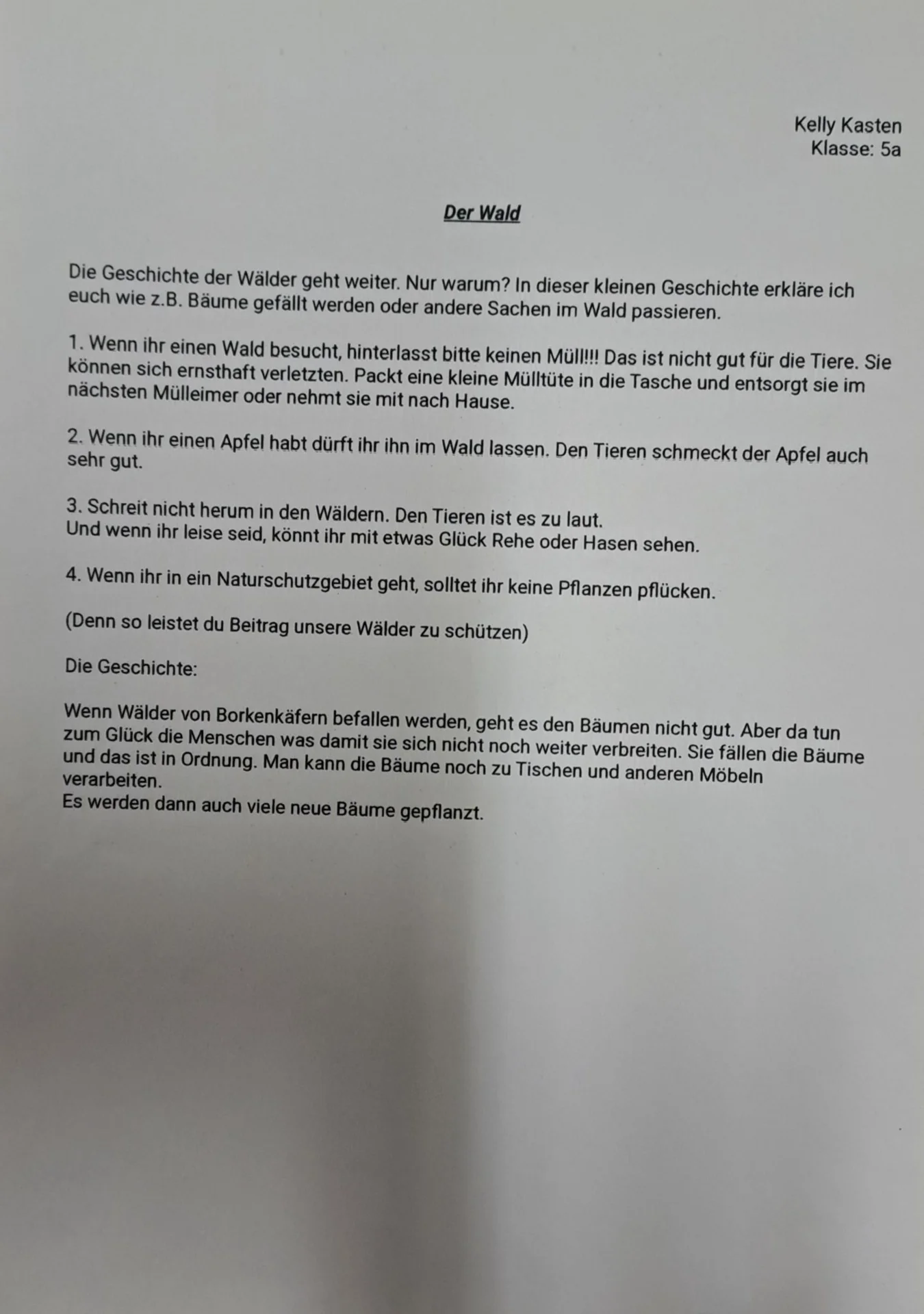 Foto der Galerie: Schreibwettbewerb an der Klüschenbergschule