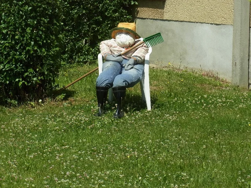Bild  der Galerie