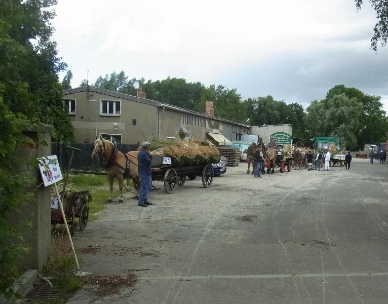 Bild  der Galerie