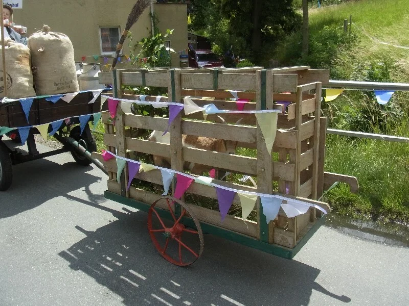 Bild  der Galerie