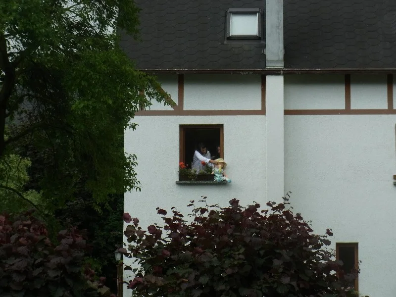 Bild  der Galerie
