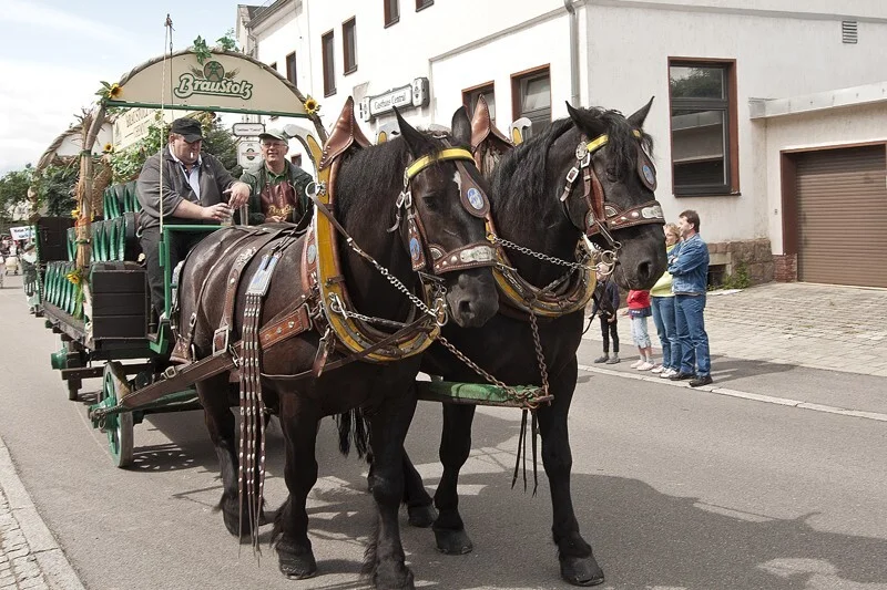 Bild  der Galerie