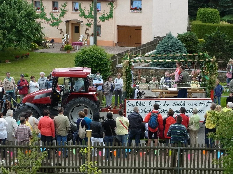 Bild  der Galerie