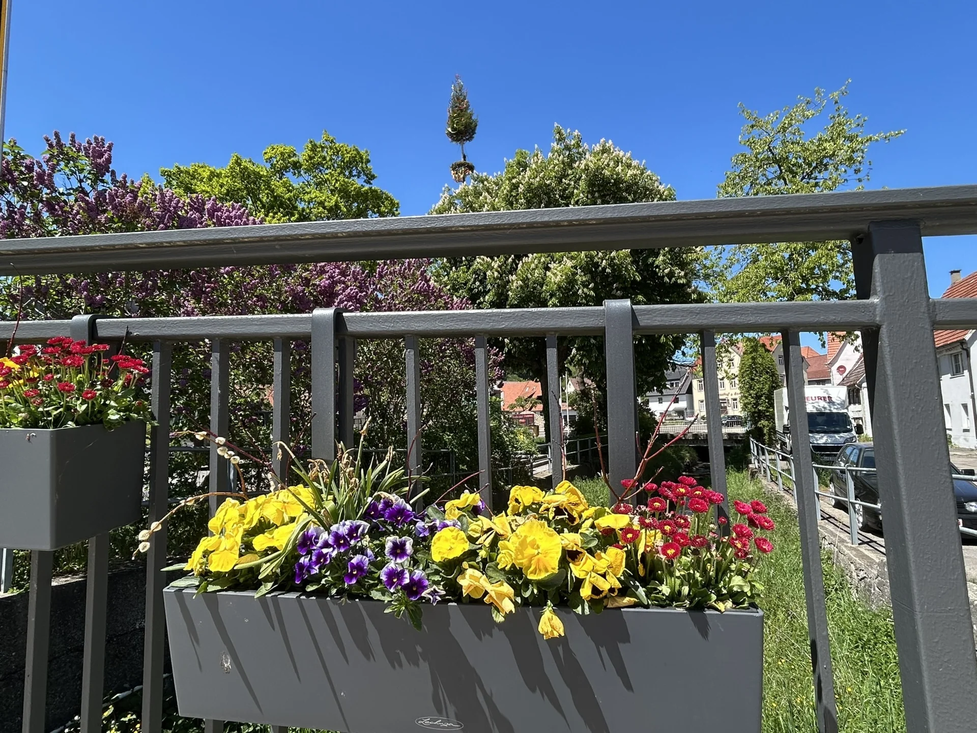 Bild der Galerie