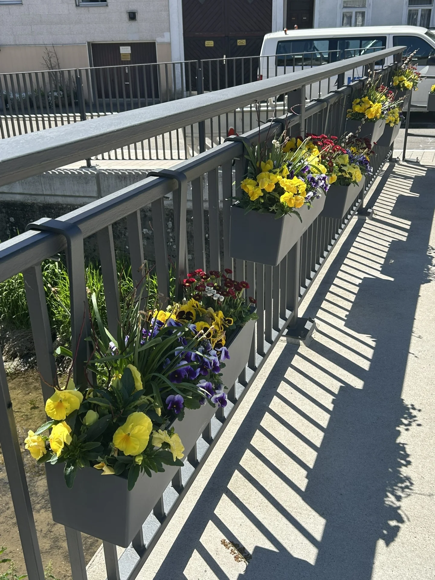 Zur Galerie: 2026 Blumen Brücke Frühling