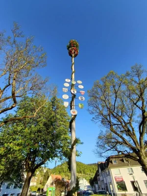 Vorschaubild der Galerie