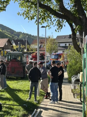 Vorschaubild der Galerie