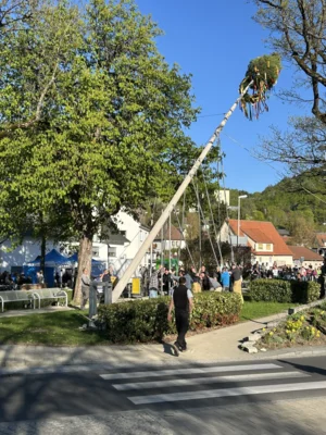 Vorschaubild der Galerie