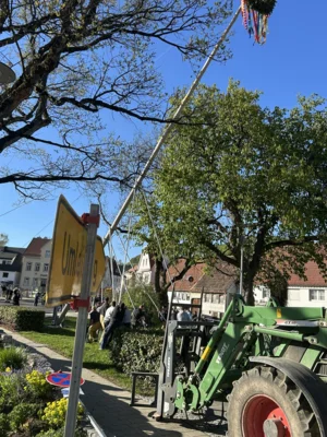 Vorschaubild der Galerie