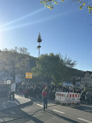 Vorschaubild der Galerie