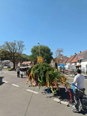 Vorschaubild der Galerie