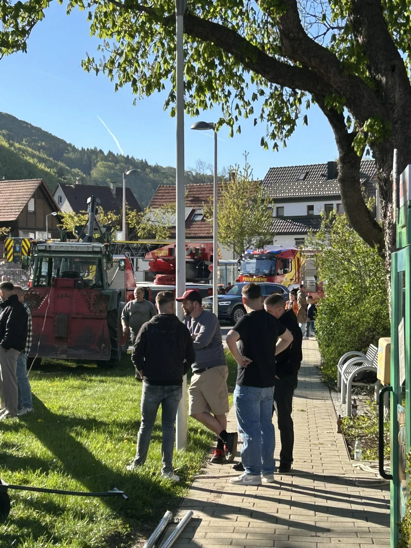 Bild der Galerie