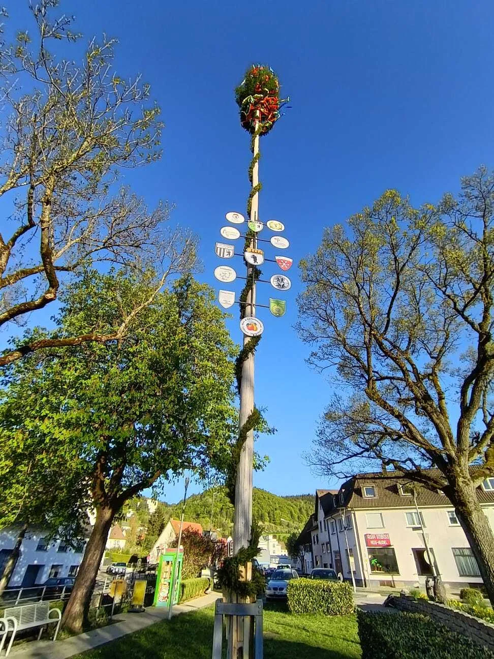 Bild der Galerie
