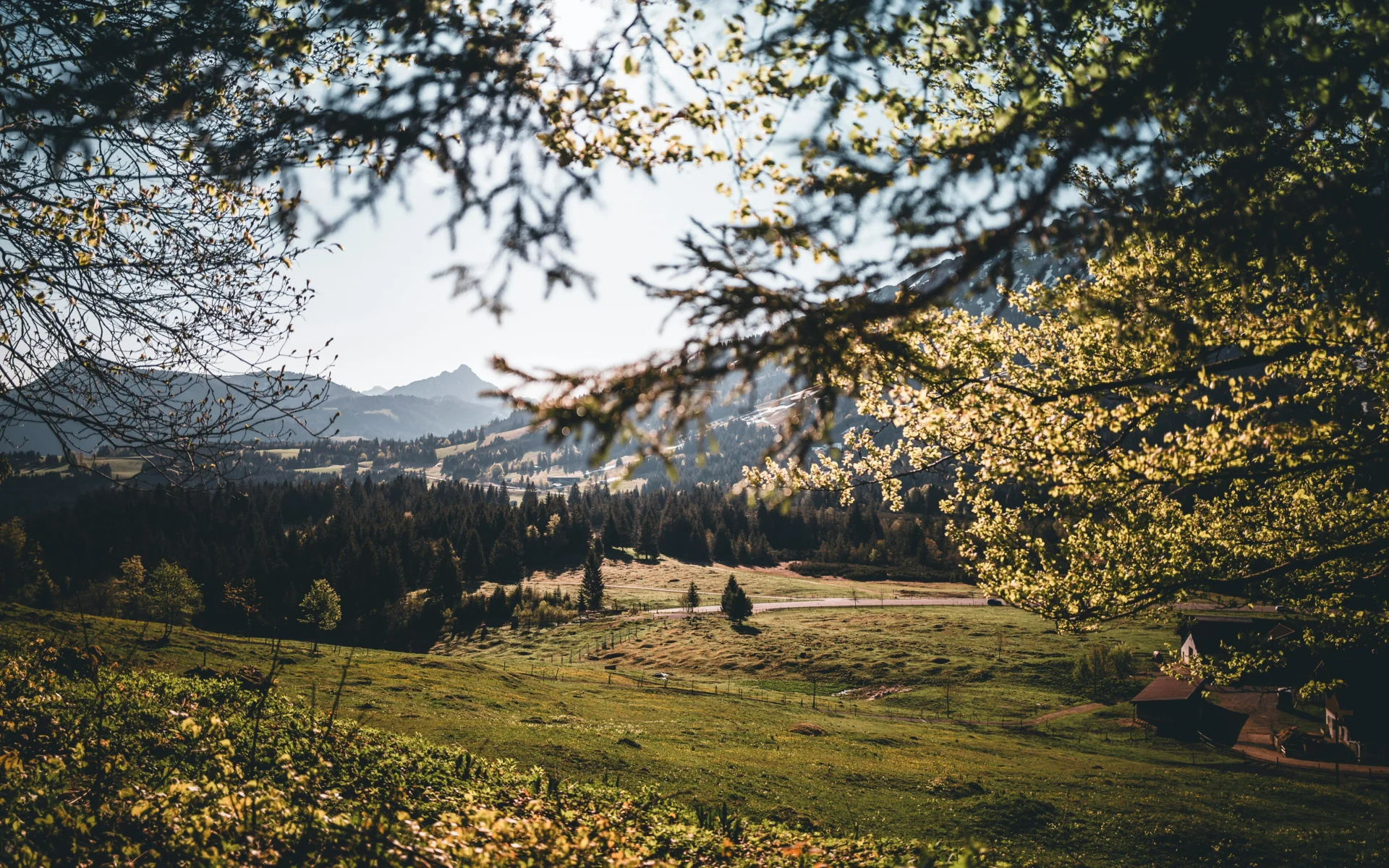 Oberjoch  (Bild vergr&ouml;&szlig;ern)
