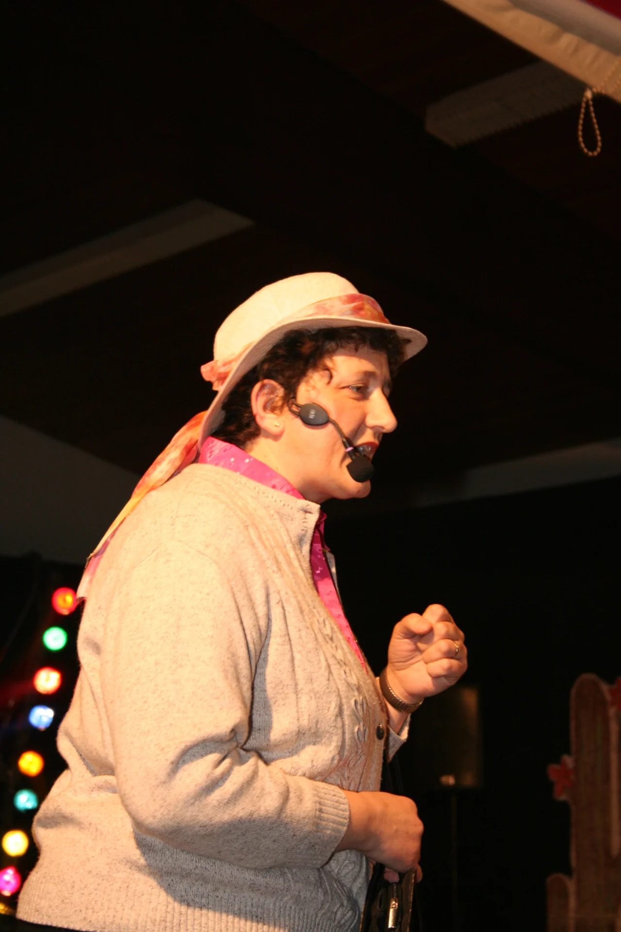 Foto der Galerie: Karneval (2007)