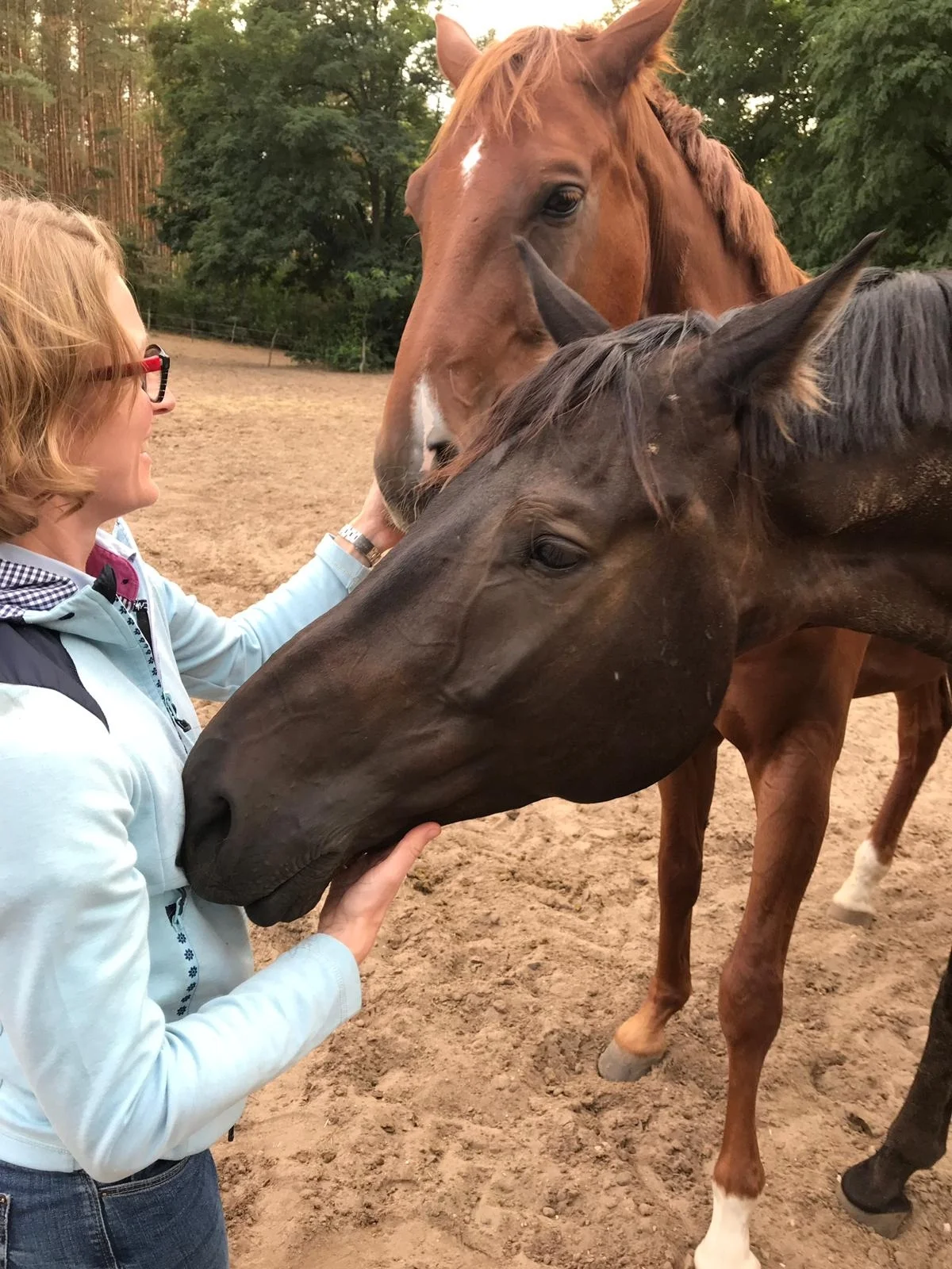 Frau streichelt Pferde  (Bild vergr&ouml;&szlig;ern)