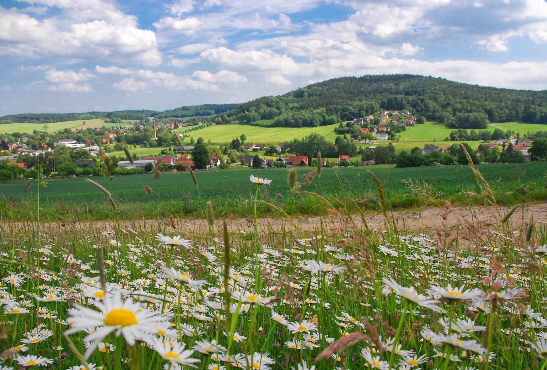 Taubenheim Foto:Sandi Werme  (Bild vergr&ouml;&szlig;ern)