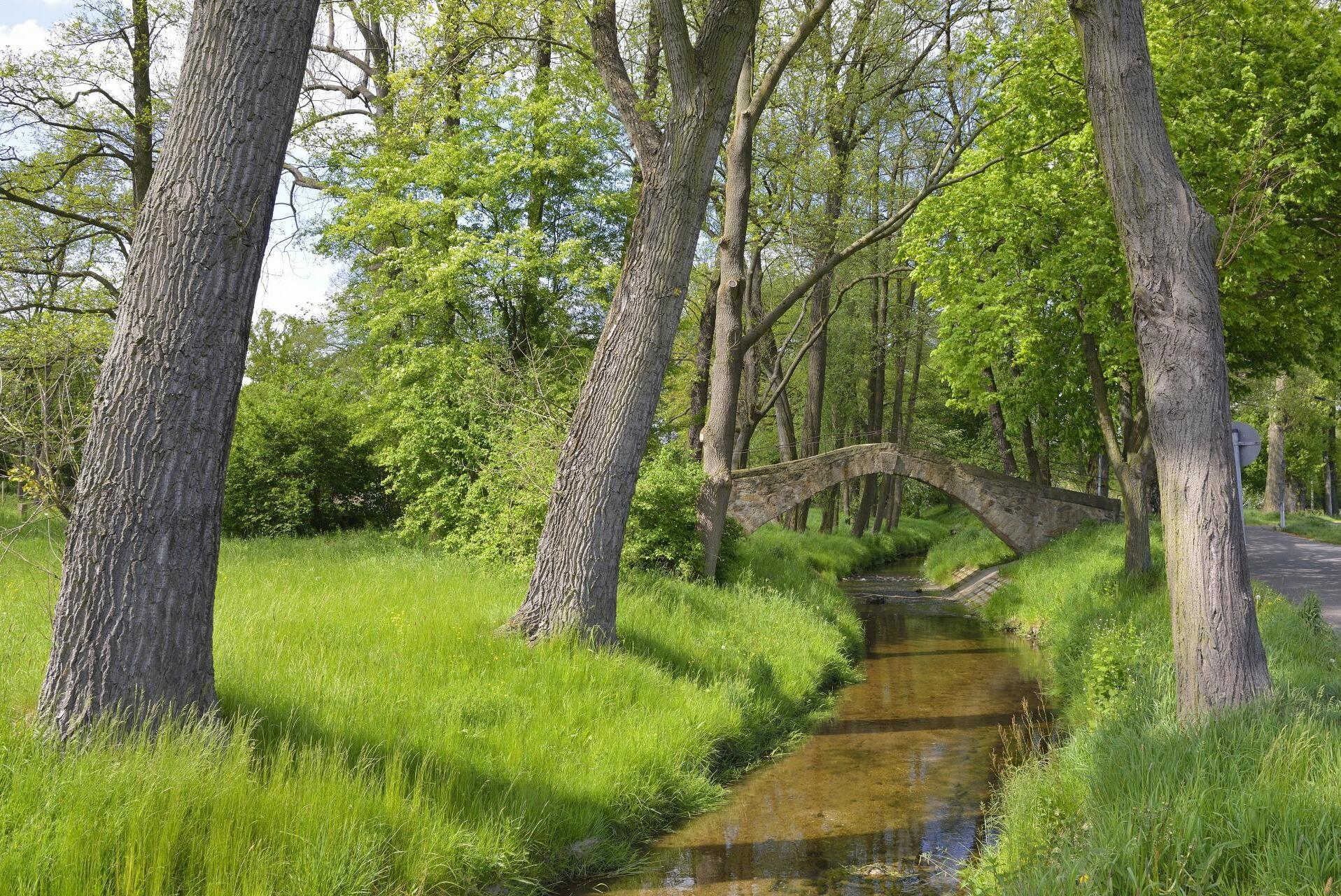 Blick zur Himmelsbr&uuml;cke Foto:Karin J&auml;hne  (Bild vergr&ouml;&szlig;ern)