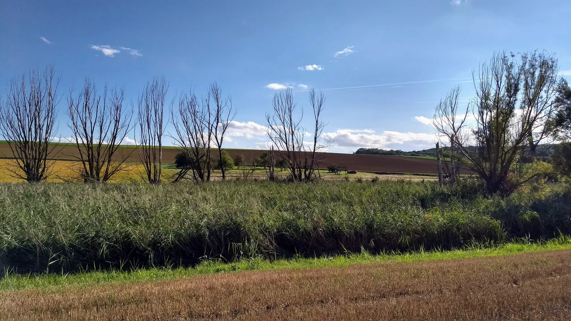 Zur Galerie: Ried Naturschutzgebiet