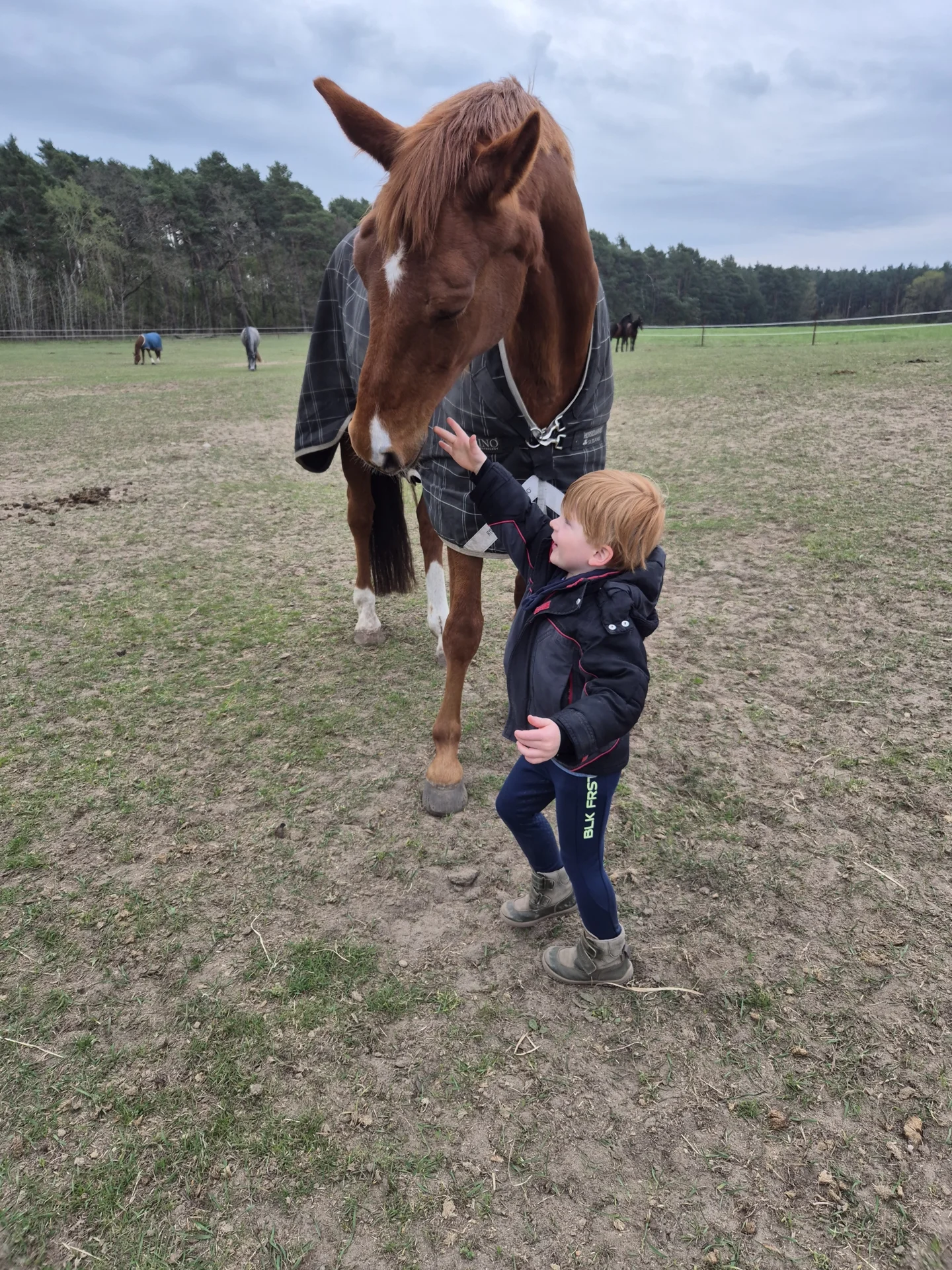 Foto der Galerie: About Equi-Feedback