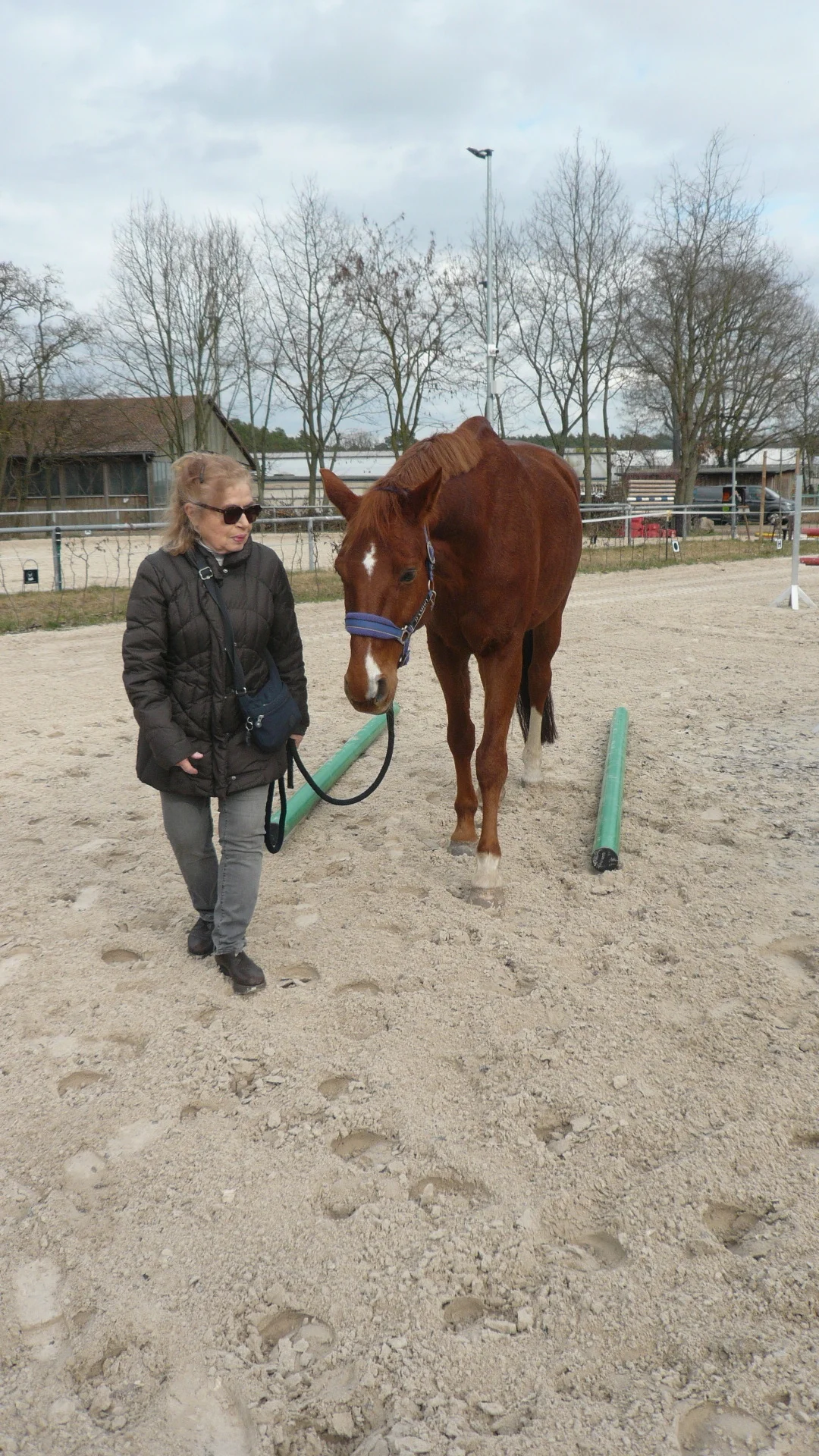 Foto der Galerie: About Equi-Feedback