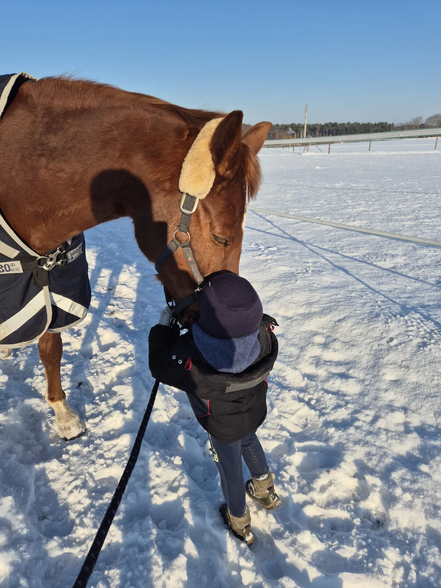 Kind kuschelt Pferd im Schnee  (Bild vergr&ouml;&szlig;ern)