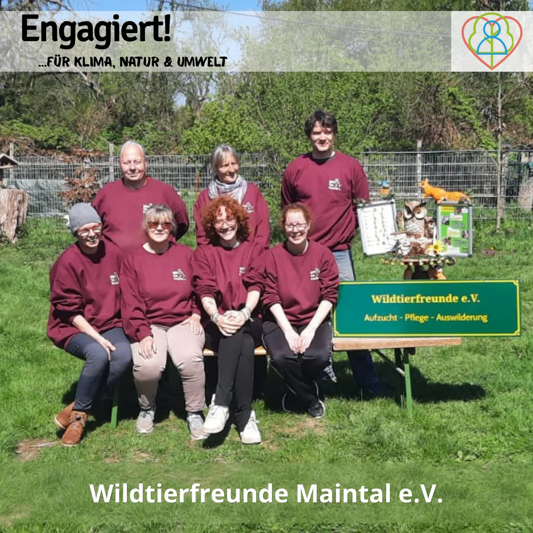 Wildtierfreunde Maintal e.V.  (Bild vergr&ouml;&szlig;ern)