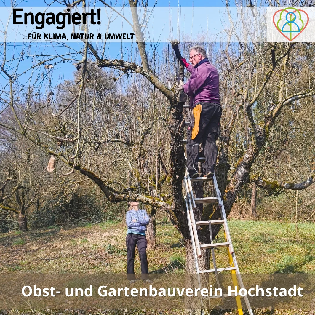 Obst und Gartenbauverein Hochstadt  (Bild vergr&ouml;&szlig;ern)