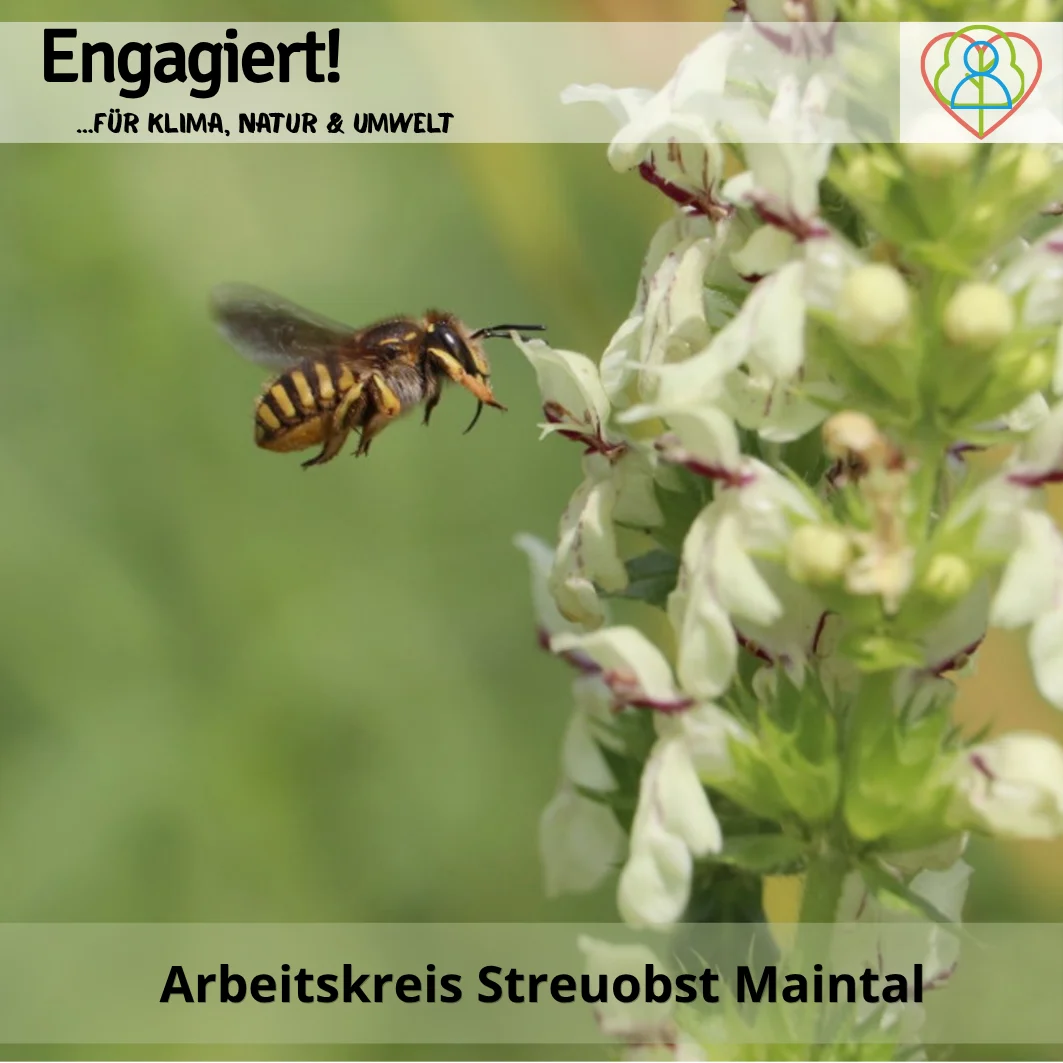 Arbeitskreis Streuobst  (Bild vergr&ouml;&szlig;ern)
