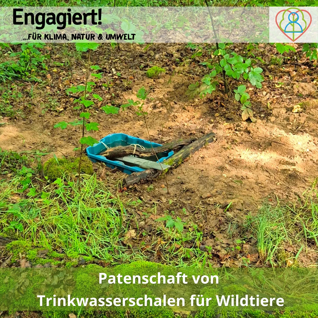Patenschaft von Trinkwasserstellen f&uuml;r Wildtiere  (Bild vergr&ouml;&szlig;ern)
