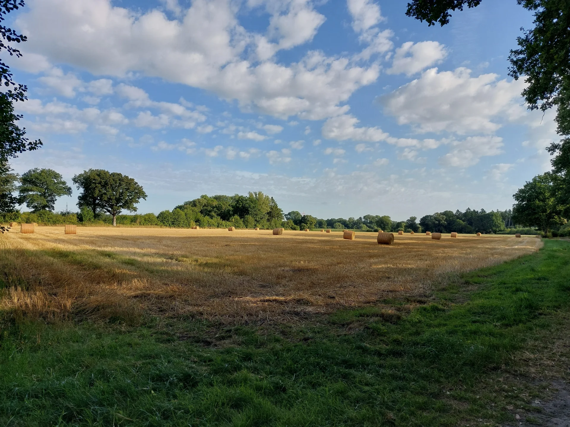 Weg am Sollkamp 