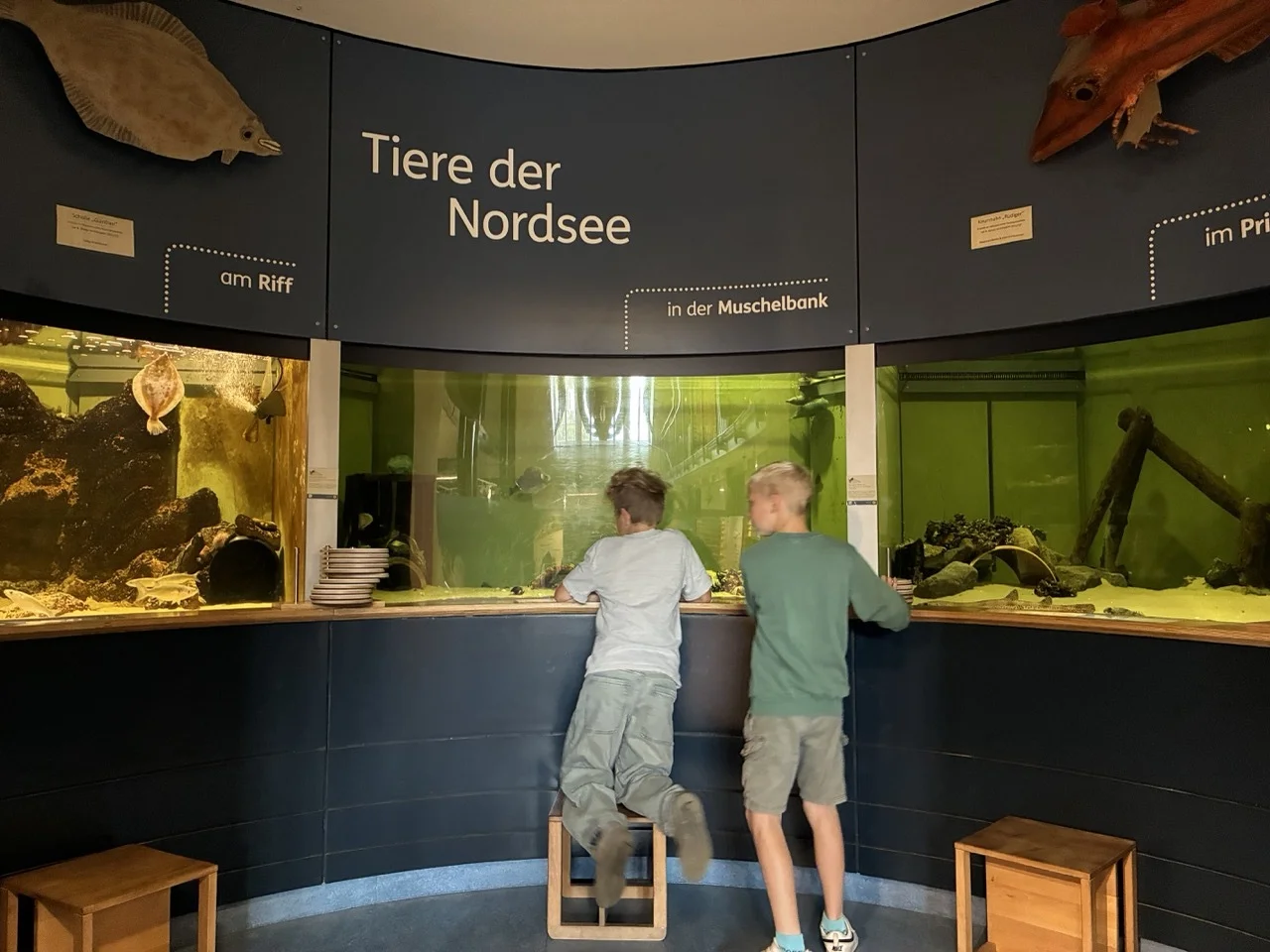 Foto der Galerie: Tag 3 auf Spiekeroog