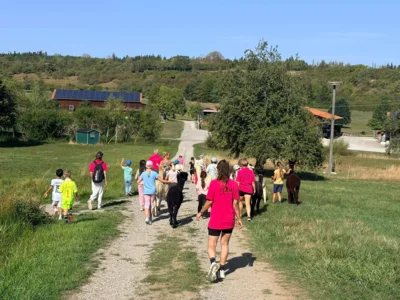Vorschaubild: Tag2 157