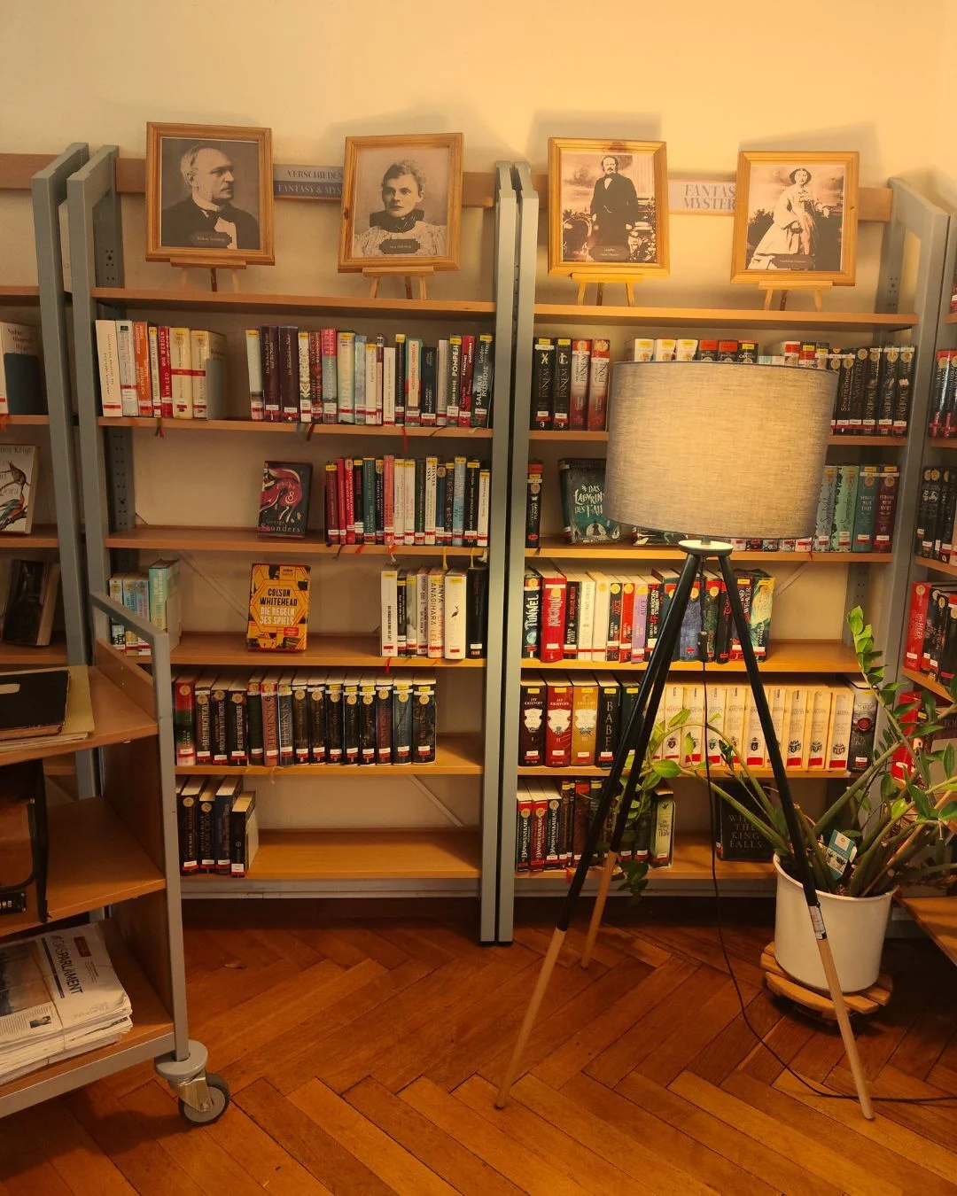 Bild der Galerie