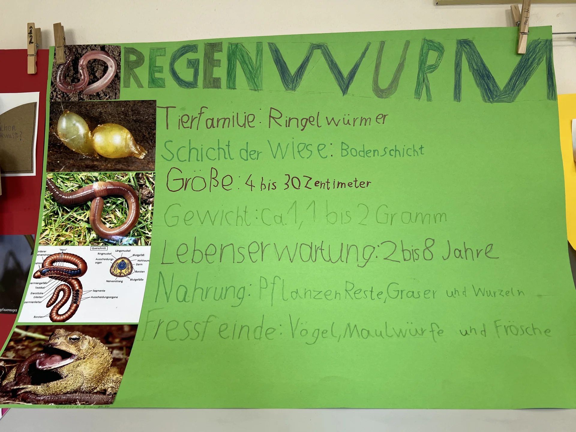 Foto der Galerie: Projekte