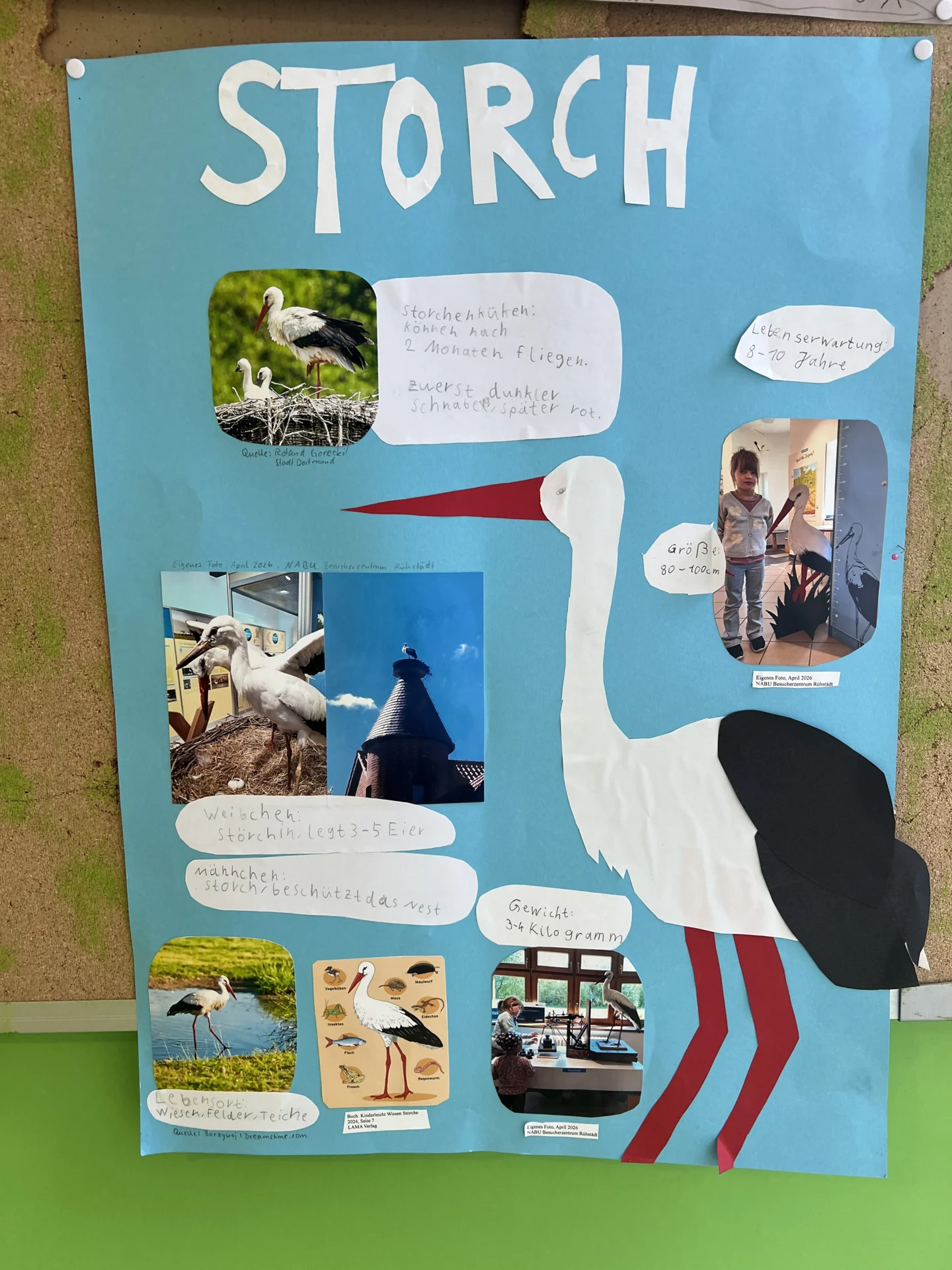 Foto der Galerie: Projekte