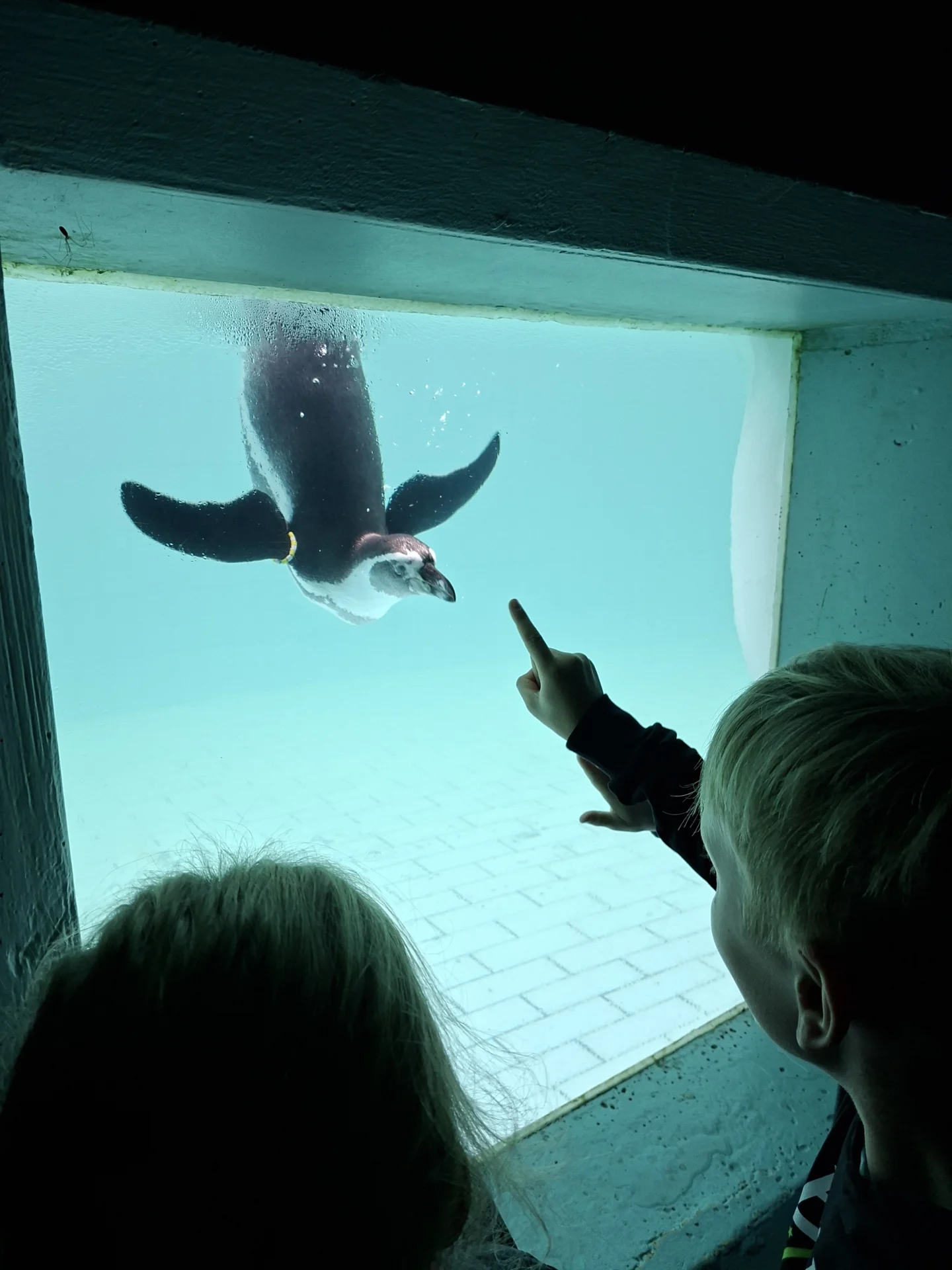 Zur Galerie: Unser Besuch des Jadeparks