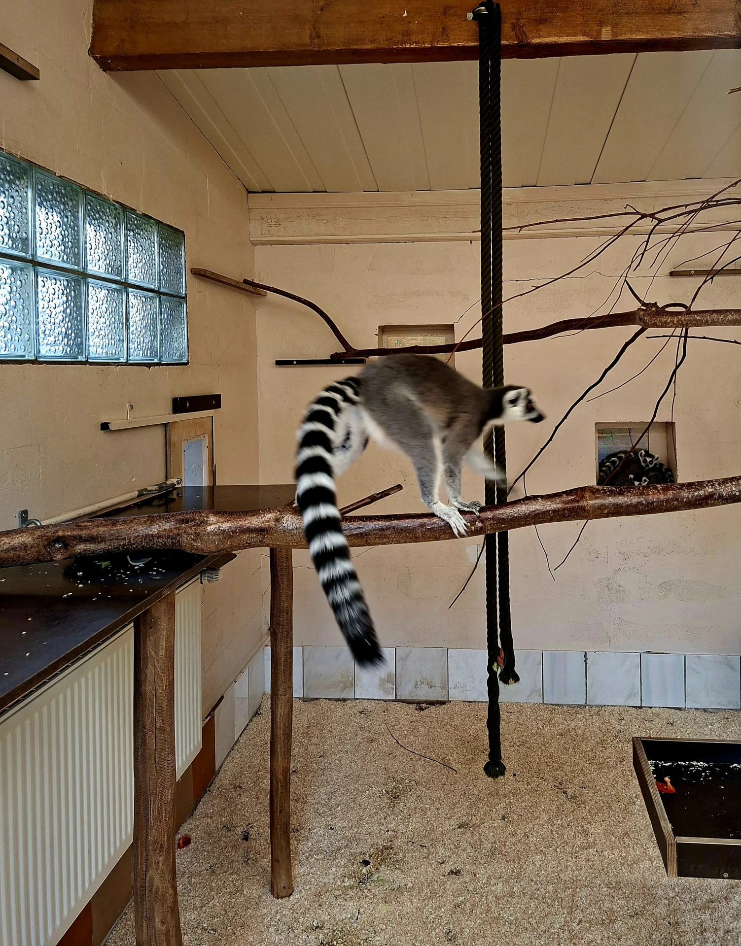 Foto der Galerie: Unser Besuch des Jadeparks