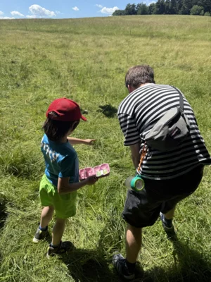 Vorschaubild: Auf der Weide bei den Hochlandrindern gibt es viel zu entdecken