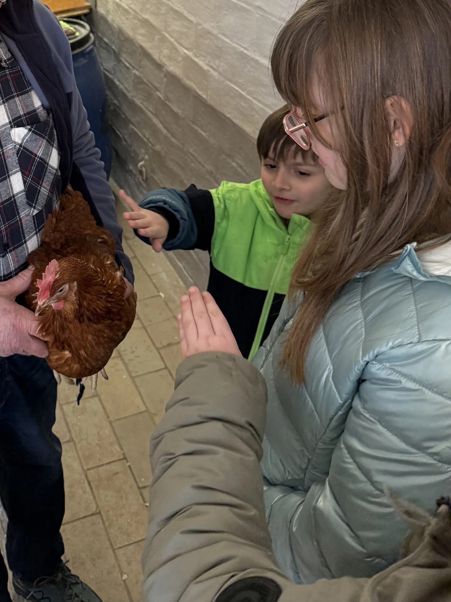 Bild: Wir haben ein Huhn gestreichelt!