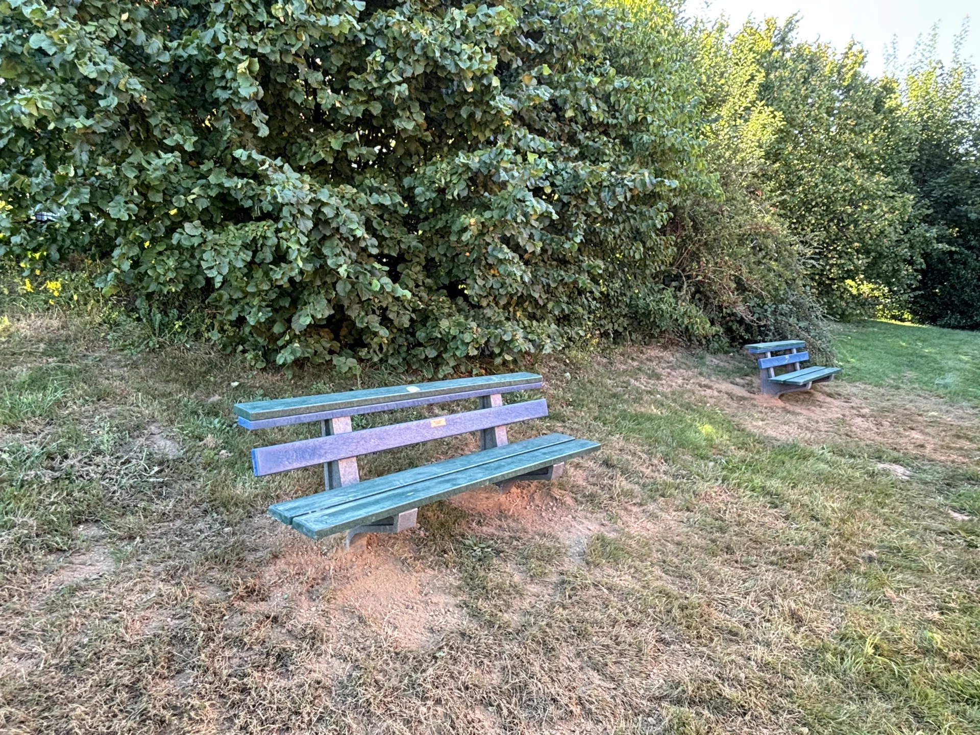 &copy; Rainer Pentzek  (Bild vergr&ouml;&szlig;ern)